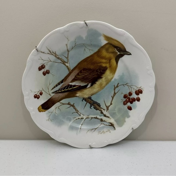 Vintage Johann Haviland Bavaria Germany Docorative Bird 10” Plates Set RARE - Picture 9 of 11